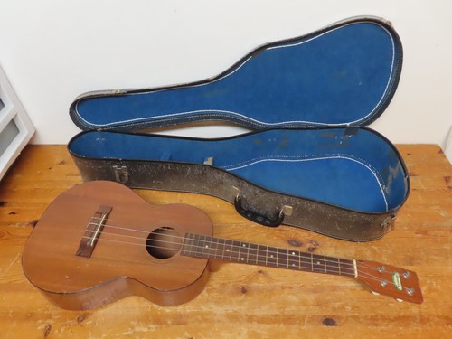 Vintage 1950 harmony - 1,